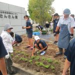 世代間交流事業『芝桜プロジェクト』を開催しました（松山支所）